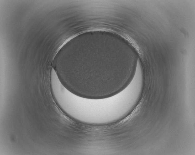 X0000115391369200911171447