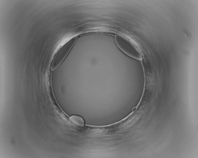 X0000115391373200911171447