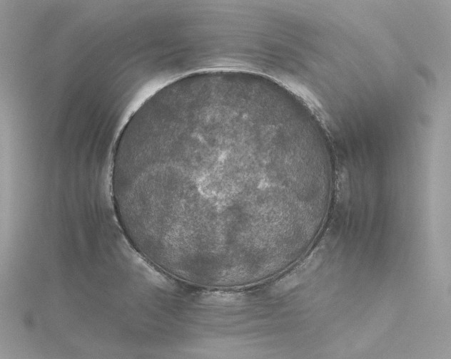 X0000115391374200911171447