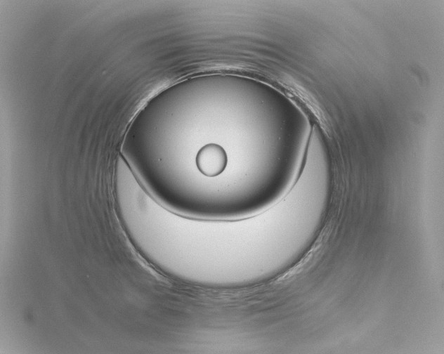 X0000115391377200911171447