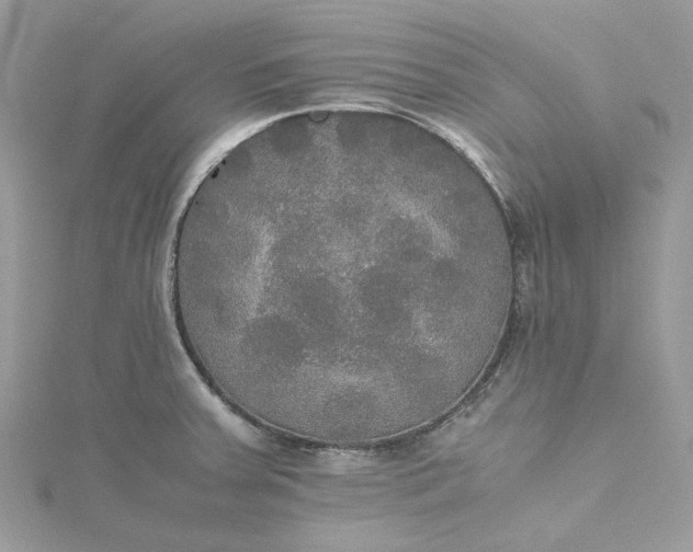 X0000115391379200911171447