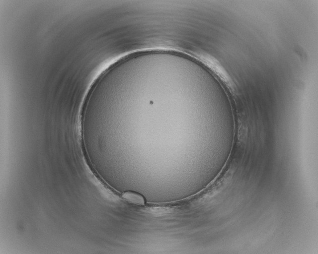 X0000115391380200911171447