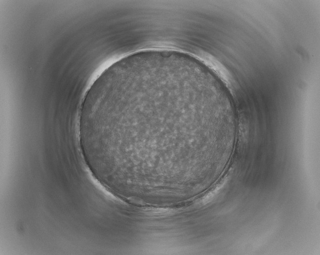 X0000115391382200911171447