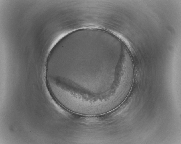 X0000115391383200911171447