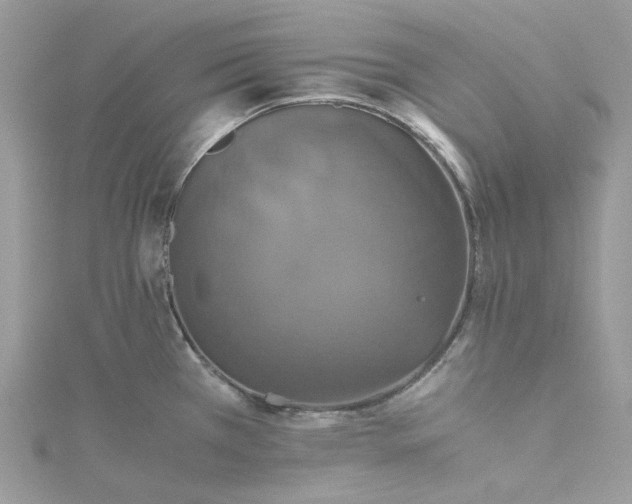 X0000115391385200911171447