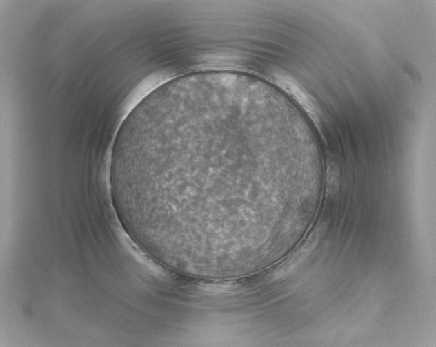 X0000115391386200911171447