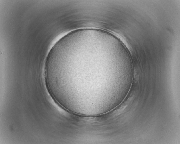 X0000115391387200911171447