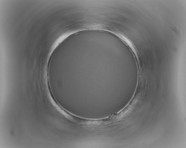 X0000115391389200911171447