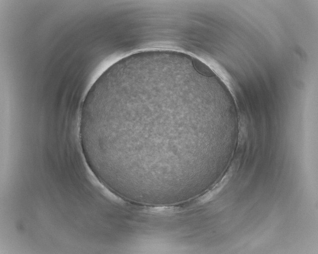 X0000115391390200911171447