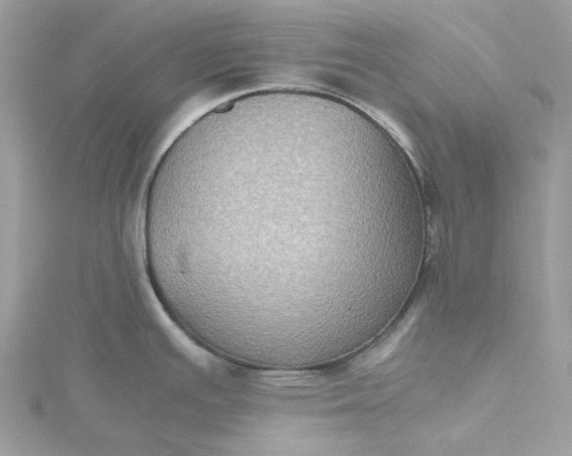 X0000115391391200911171447