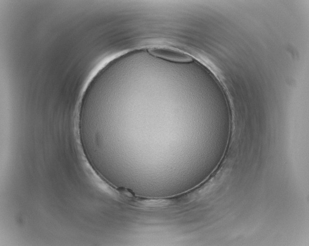 X0000115391392200911171447