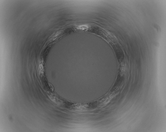 X0000115391394200911171446