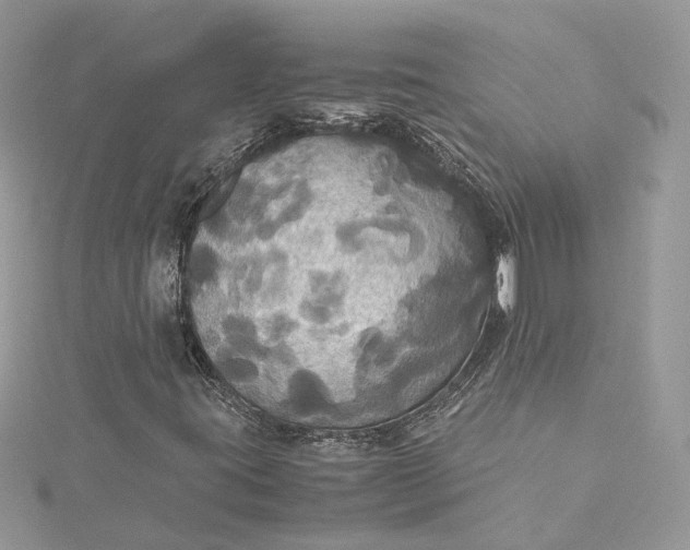 X0000115391395200911171446