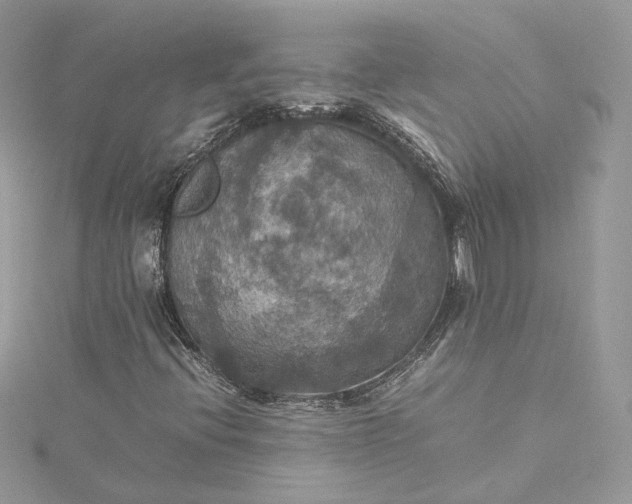 X0000115391396200911171446