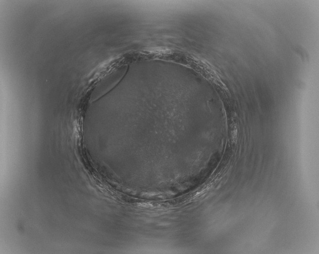 X0000115391397200911171446