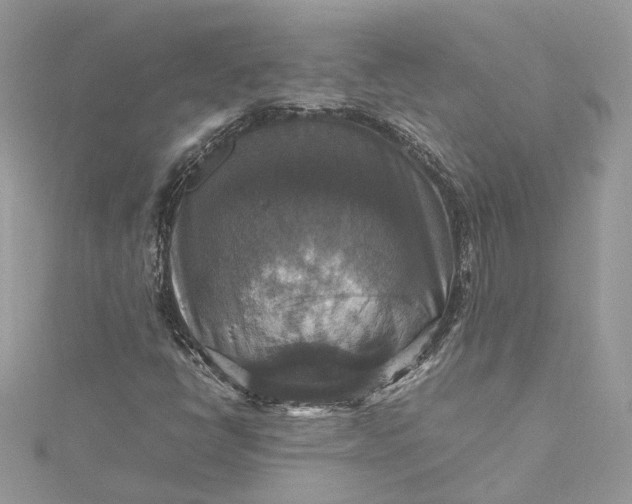 X0000115391398200911171446