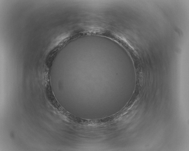 X0000115391399200911171446