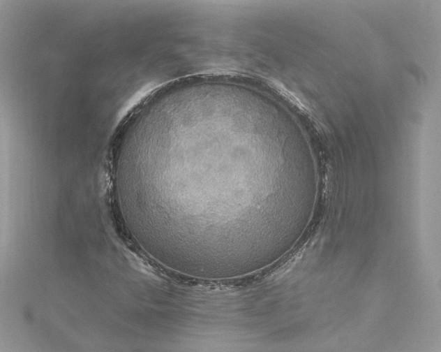 X0000115391400200911171446