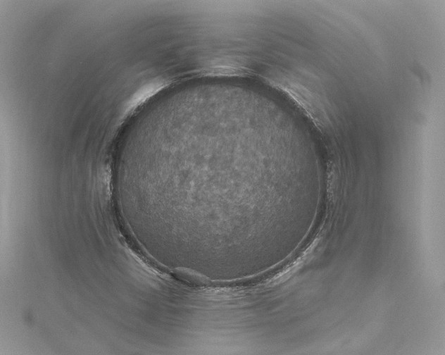 X0000115391402200911171446