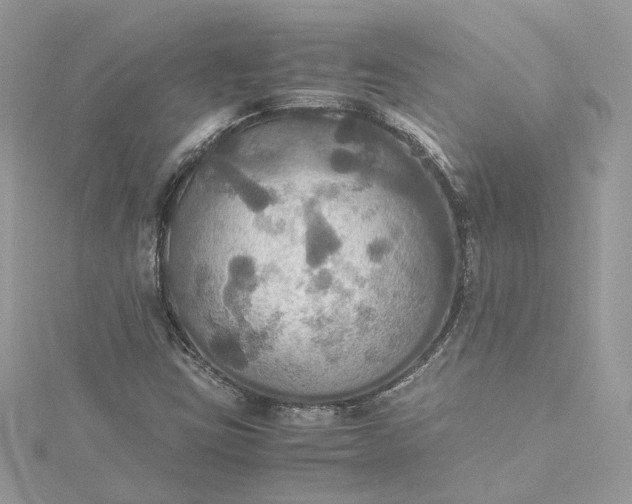 X0000115391403200911171446