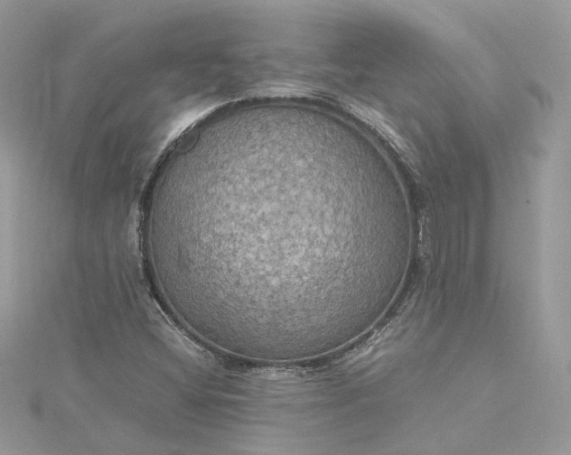 X0000115391404200911171446