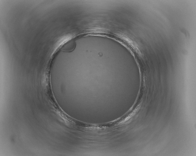 X0000115391405200911171446