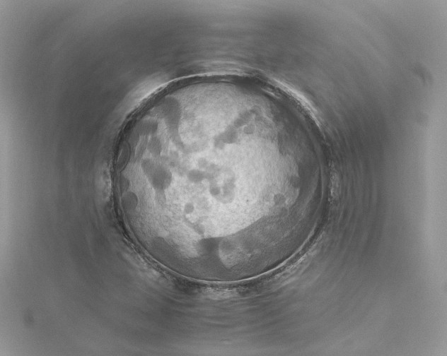 X0000115391407200911171446