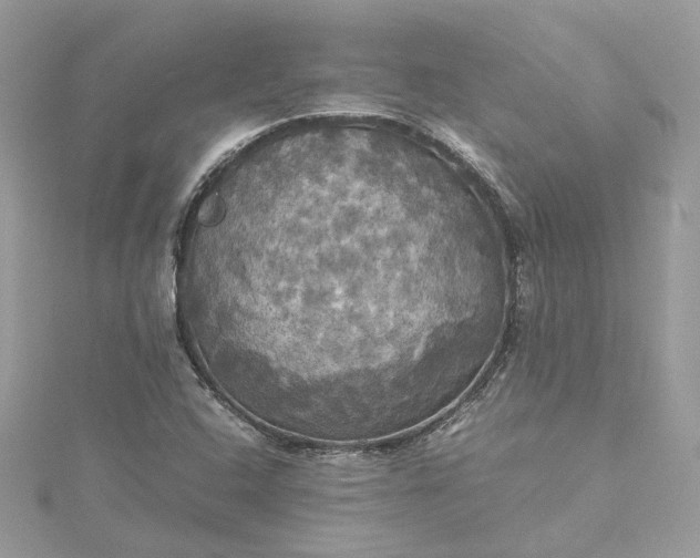 X0000115391408200911171446