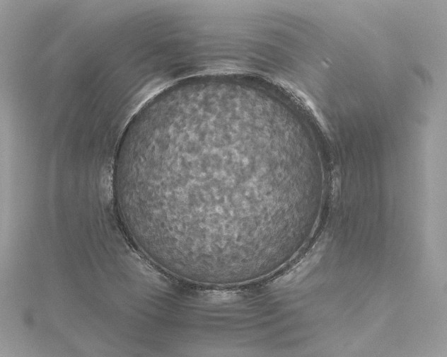 X0000115391409200911171447