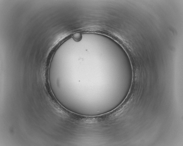 X0000115391410200911171447