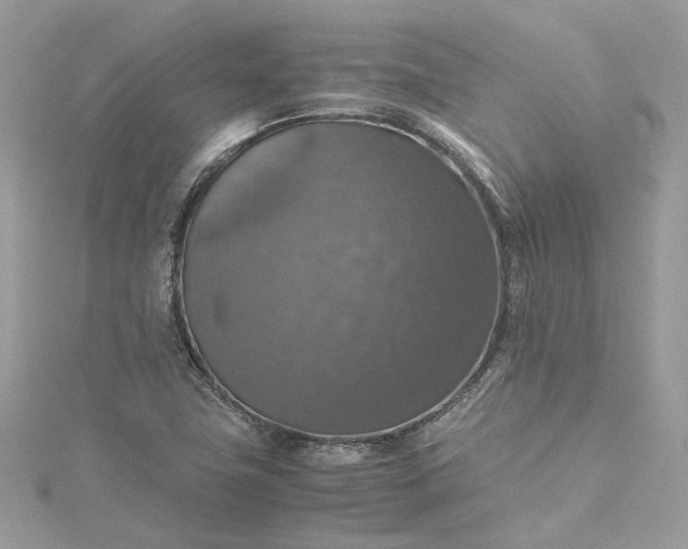 X0000115391411200911171447