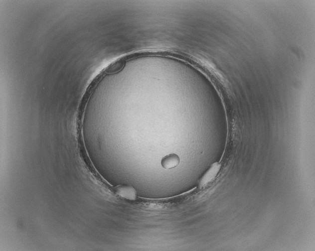 X0000115391412200911171447