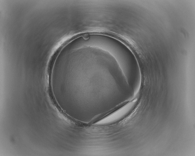 X0000115391414200911171447