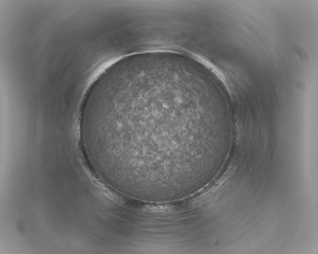 X0000115391415200911171447