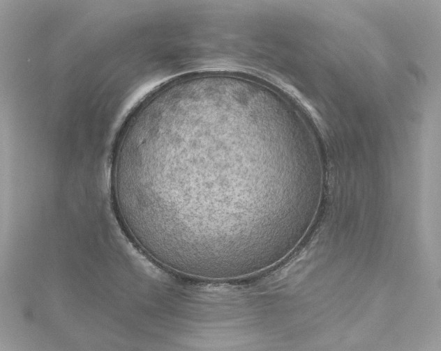 X0000115391416200911171447