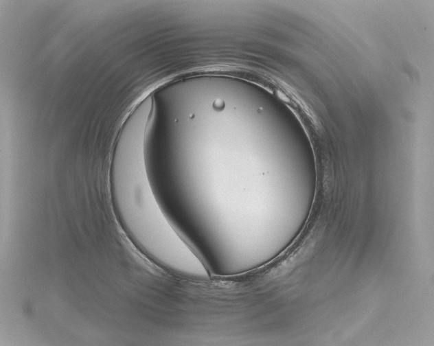 X0000115391417200911171447