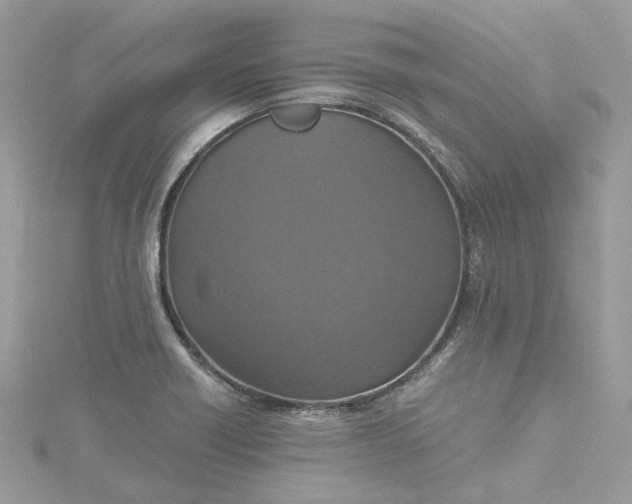 X0000115391418200911171447