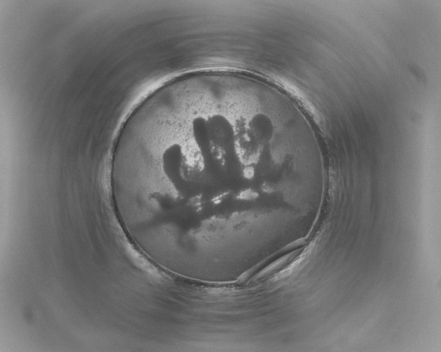 X0000115391421200911171447