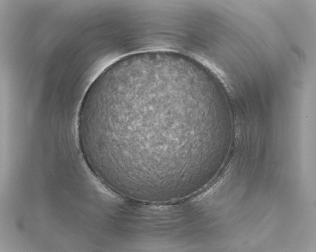 X0000115391423200911171447