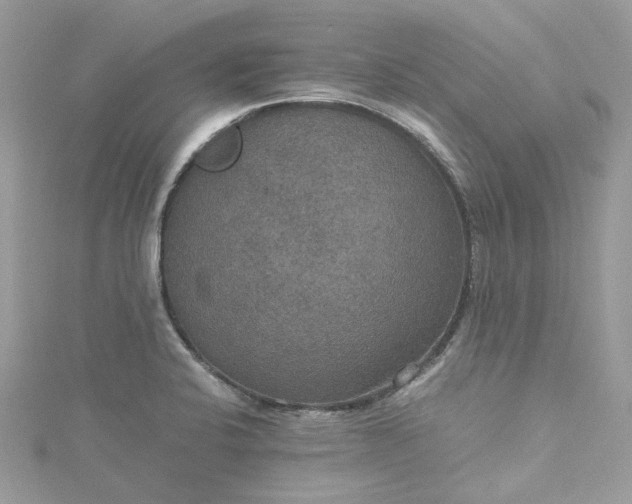 X0000115391424200911171447