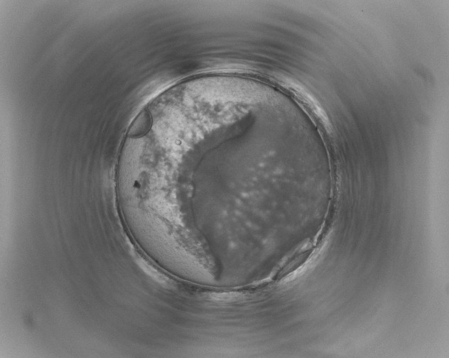 X0000115391425200911171447