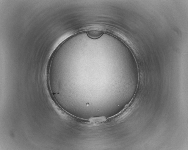 X0000115391426200911171447