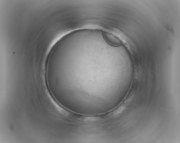 X0000115391430200911171447