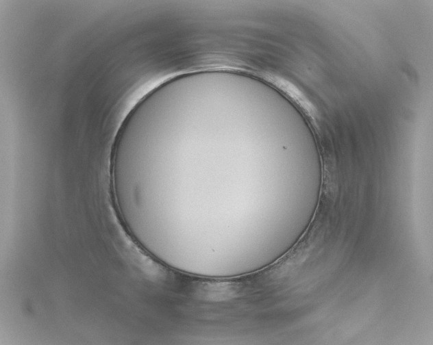 X0000115391431200911171447