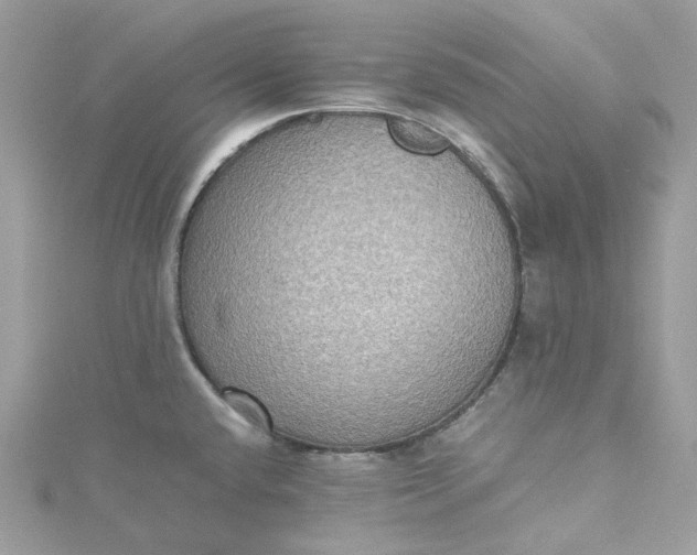 X0000115391432200911171447