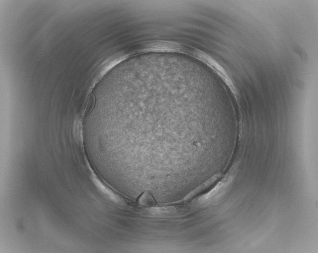 X0000115391433200911171447