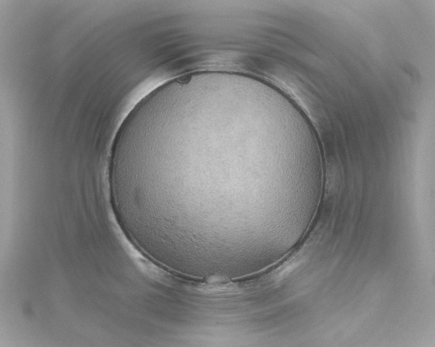 X0000115391434200911171447