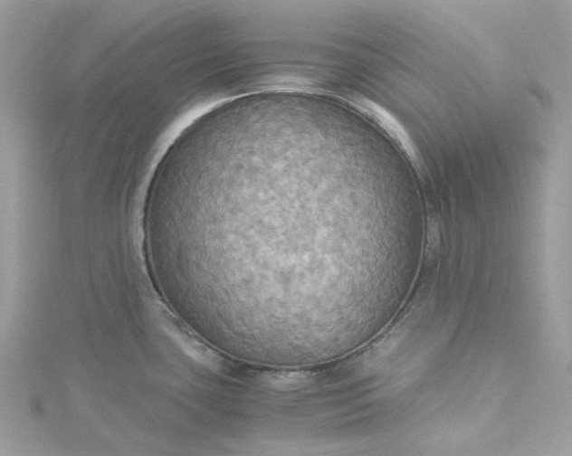 X0000115391435200911171447