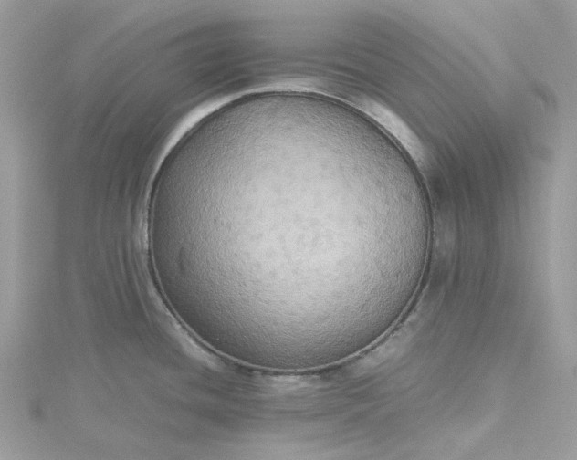 X0000115391436200911171447