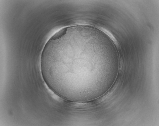 X0000115391439200911171447